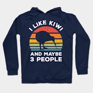 I Like Kiwi and Maybe 3 People, Retro Vintage Sunset with Style Old Grainy Grunge Texture Hoodie